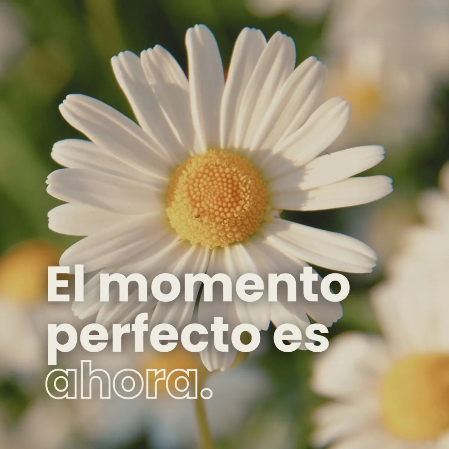 Darse Cuenta Nivel 1